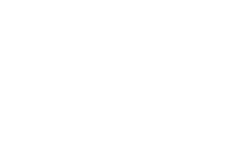 I Encontro Internacional de Oftalmologia Veterinária